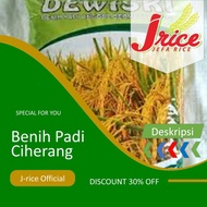 JT-B3ST BENIH PADI CIHERANG BIBIT PADI UNGGUL 5KG