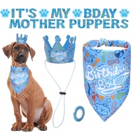 New Pet Birthday Hat Dog Birthday Party Set Cat Birthday Bandana Mom Baby Dog
