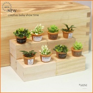 [LS] 4pcs Dollhouse Miniature 1:12 Pot DIY Kitchen Decora Potted plant [PH]