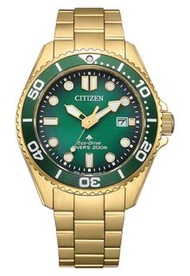CITIZEN PROMASTER