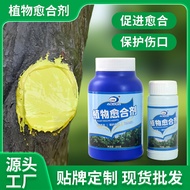 T Tree Wound Healing Agent Plant Applicator Fruit Tree Applicator Healing Cream Tree Pole Healing Cr