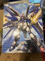 Bandai MG Freedom Gundam Model Kit