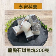 【永安科養】龍膽石斑魚塊300克/入 5入組