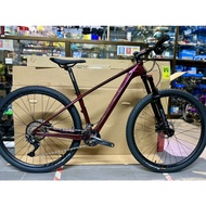 New 2021 Alcott Dino 29” Shimano 2x11speed Carbon MTB