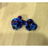 [Disc Head Titanium Screw] M5 M6 Big Name Screw Washer