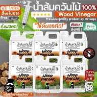 ส่งฟรี! น้ำส้มควันไม้ 100% สูตรเข้มข้น (1 ลิตร x 6 แกลลอน) ป้องกันมด เพลี้ย และแมลงศัตรูพืช ป้องกันโ