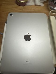 Apple iPad 10 第十代 256gb銀色