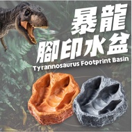 Lizard Landscaping Water Basin Reptile Food Gecko Frog Chameleon Snake Drinking