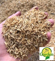 RICE HULL (5 KGS) - PLEASE SEPERATE ORDER WITH PLANTS. PURE AND READY TO USE FOR PLANTS FOR SALE, IN