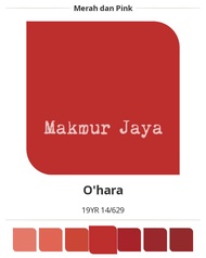 Dulux EasyClean Ohara Cat Tembok Anti Noda Easy Clean
