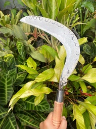 Arit/sabit Rumput cap mata SSS wonosobo baja isen tembus