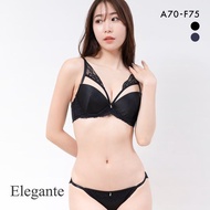 Elegante lacey matte satin bra panties set (Sizes A-F)(A48J3567AF)(Direct from Japan)1