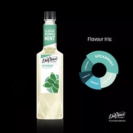 DaVinci Gourmet Peppermint Syrup (750ml)