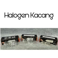 Lampu Halogen Kacang 15W/6V || 20W/220V || 35W/220V