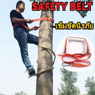 GREGORY-อุปกรณ์ปีนต้นไม้ Tree Climbing ที่ปีนต้นไม้ ปีนต้นไม้ รุ่น อุปกรณ์ปีนต้นไม้ อุปกรณ์ปีนเสาไม้