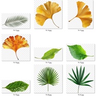 Leaf Shape Heat Ironing Image 9