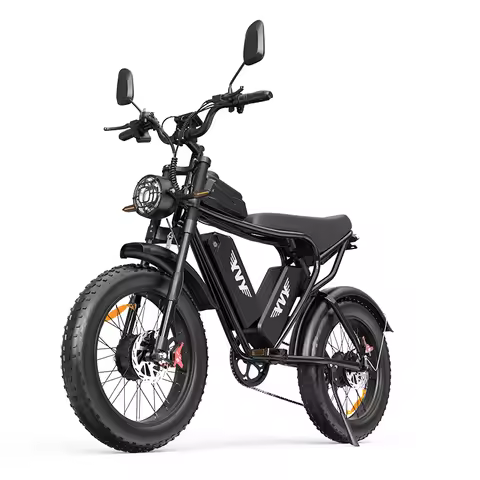 Q20Pro Electric Bicycle 2000W Dual Motor 52V40AH Dual Battery Ebike Top Speed 55KM/H 20*4Fat Tire El