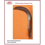 Pisau Pisang/Sabit Pisang/Banana Harvesting Knife