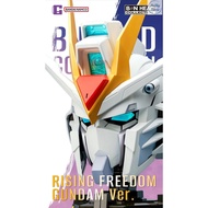 Bandai BN Head Collection 1/1 Vol. 4 Rising Freedom Gundam Ver.