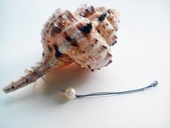 Sea Breeze系列自家設計淡水珍珠手鏈