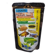 🇸🇬 SG Stock akari premium yellow cichlid - tropical