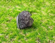 小小能量擺件-天然可愛小小迷你紫大牙紫晶鎮 紫水晶 療癒 招財