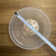 7" Transparent Pot [READY STOCK] | Clear Pot | Aroid Transparent Plant Pot | Pasu Bunga Lut Sinar Vi