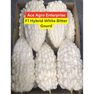 White Balsam Pear seed/ White Bitter Gourd seed