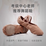Full Elastic Cloth Dance Shoes Women Soft Bottom Children's Practice Dancing Shoes Adult Cat Claw Shoes Body Ballet Instep Show
