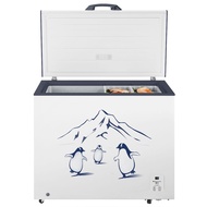 Hisense Freezer 300L FC326D4BWYS