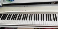 數碼鋼琴 88 鍵 / Casio / 電子琴