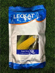 Benih Jagung Manis Sweet Corn Seed Sugar Rich 592 F1 Hybrid 500gm Leckat