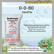 0-0-60 กระต่าย ยกกระสอบ50กก ใช้เพื่อบำรุงผลผลิตในช่วงระยะสุดท้าย เร่งการสร้างเนื้อ สร้างแป้ง เพิ่มน้