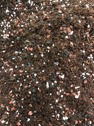 cactus soil/succulent soil-lava stone/peat moss/cocopeat/organic fertilizer mix soil