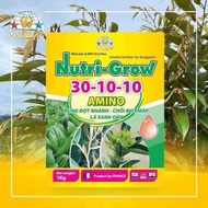 PHÂN BÓN NPK GROW PLUS 30-10-10 ISRAEL AMINO HỘP 1KG