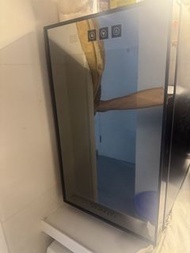 VIVANT Wine Cooler Refrigerator 酒櫃 8支