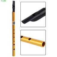 FLUME Irish Whistle Flute, 6 Hole D Key Ireland Flute, Musical Accessories Professional Gift Alloy I