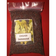 Benih Ensabi Sarawak (Sawi Pahit) 42gram