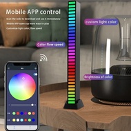 LED Light RGB Sound Control Lights App Control Music Rhythm Pickup LAMP Colorful Strip Light For DJ 