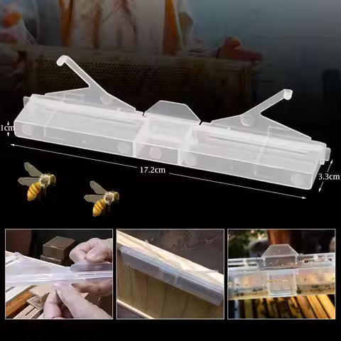 5/10Pcs Hive Beetle Trap Clear Plastic Reusable Beetle Trap Bee Health Suitable For Hive Frame Captu