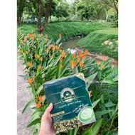 ORGANIC GREEN COFFEE NANAJI/KOPI ORGANIK NANAJI/KOPI KURUS/KOPI SIHAT/KOPI