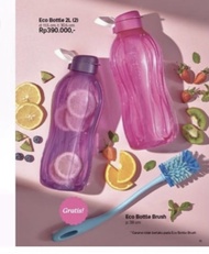 Botol Minum Tupperware 2 Liter 2 Pcs Free Sikat Botol Tbk