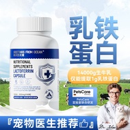 Ocean's Greetings Lactoferrin Capsules Cat Nutritional Supplement for Kittens and Puppies Newborn Co