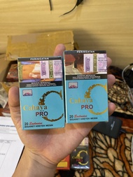 Rokok Cahaya Pro 20 Exclusive