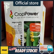 Benih Timun Lebat Black Steel F1 DC 777 20gm