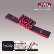 ZHONGLIANG | Resistance Strength Training Band for Elder Leg and Glutes
