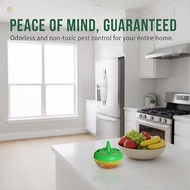 ASI Household Fly Bait Trap Small Mosquito Insect Killer Medicine Efficient Pest Solution For Indoor