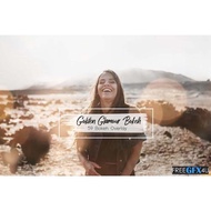 59 Golden Glamour Bokeh Lights