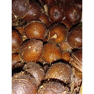 Buah Salak Kampung 1KG