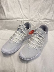 🔝Nike Hyperdunk X Low 10 White Pure Platinum 籃球鞋 男款 白色